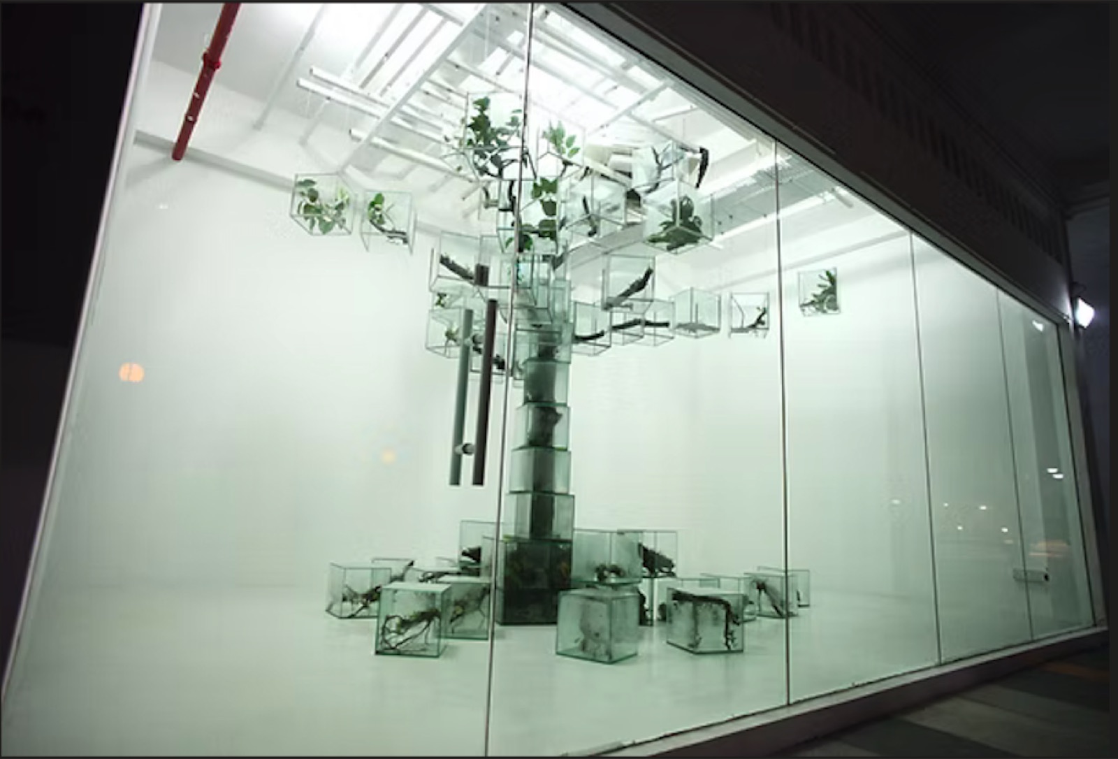 栗林隆 Trees 装置