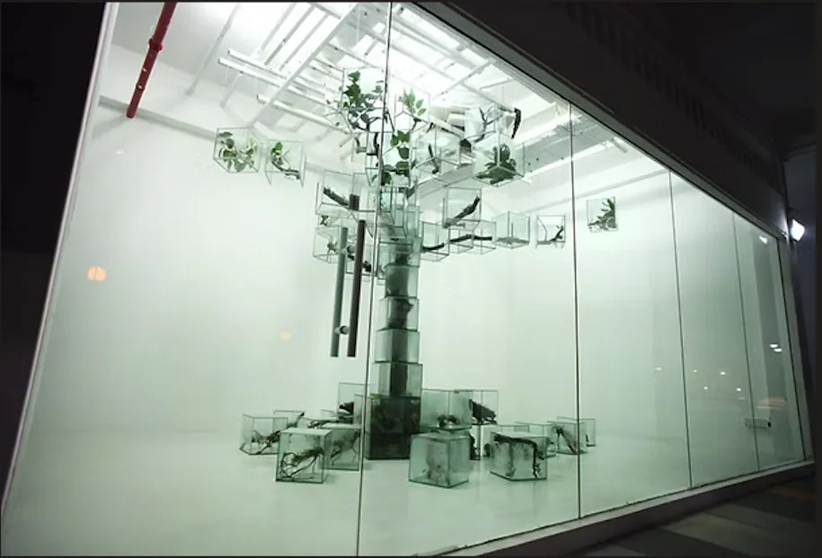 栗林隆 Trees 作品